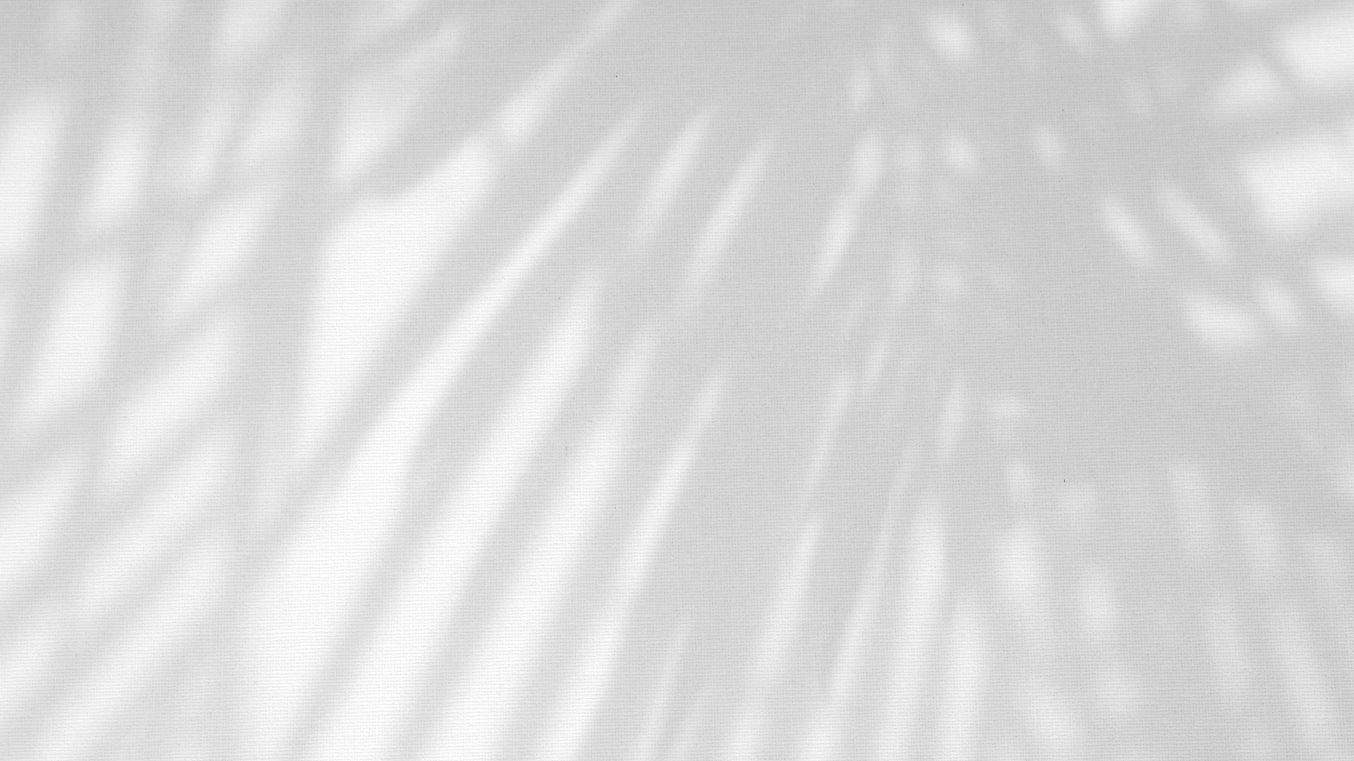 Leaves Natural Shadow Overlay on White Texture Background, for O